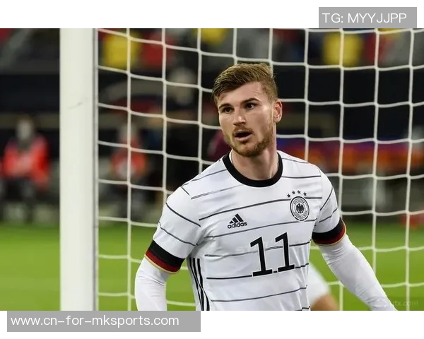 德国足球国家队球员风采与成就的全面回顾与分析