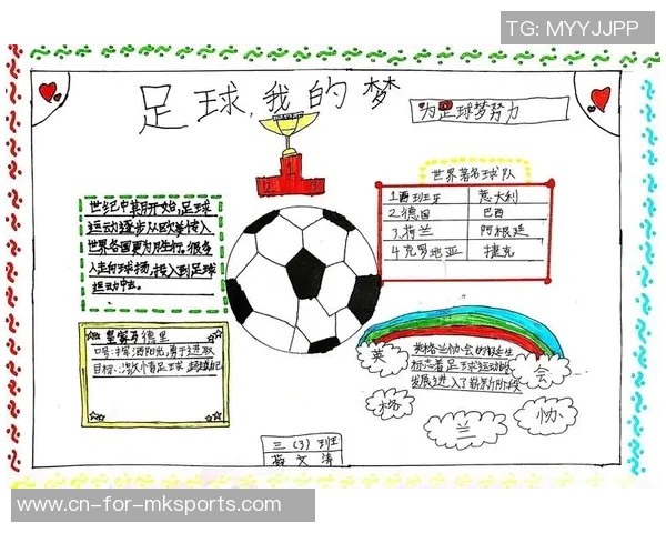足球活动经费管理与使用策略探讨促进青少年足球发展的有效途径
